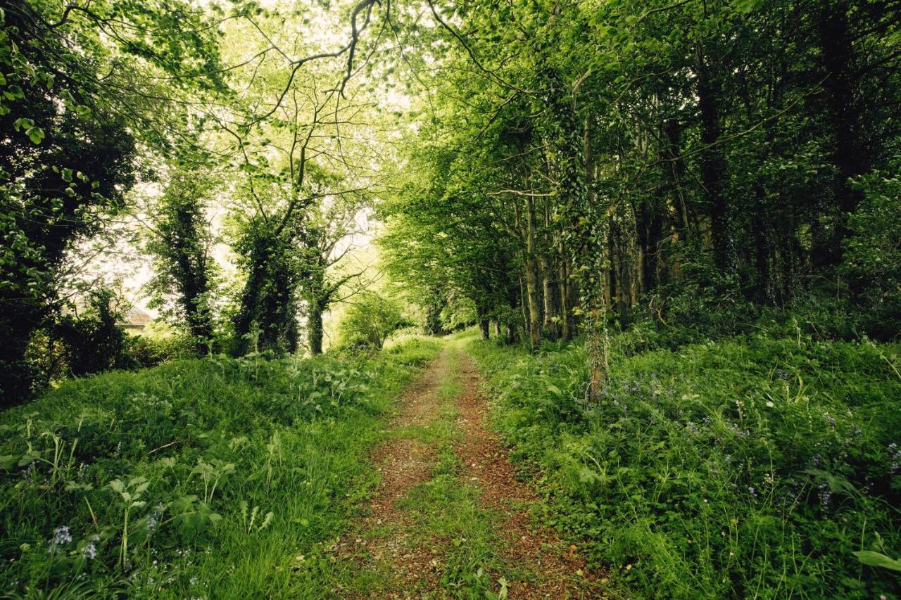 Castledillon Estate Cottage Armagh Ngoại thất bức ảnh
