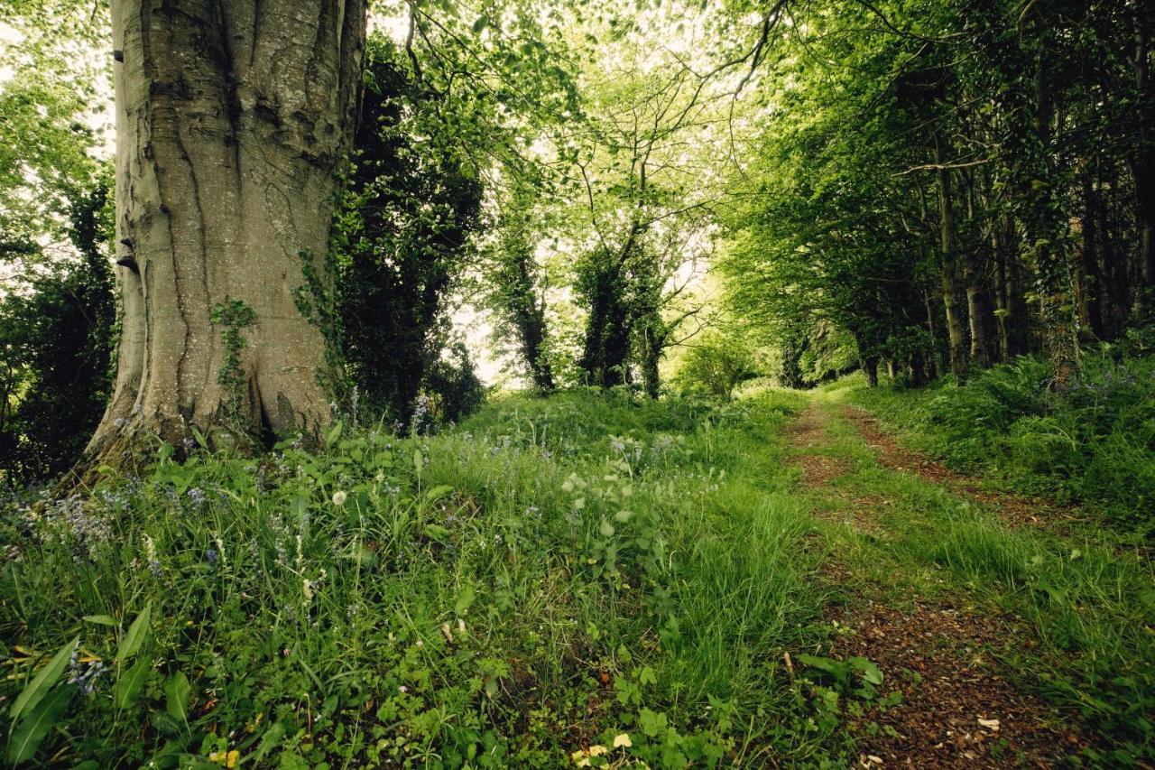 Castledillon Estate Cottage Armagh Ngoại thất bức ảnh